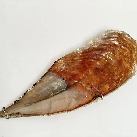 Сasa de vacaciones Paros